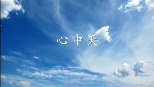 《心菠菜导航》——菠菜导航二建微电影